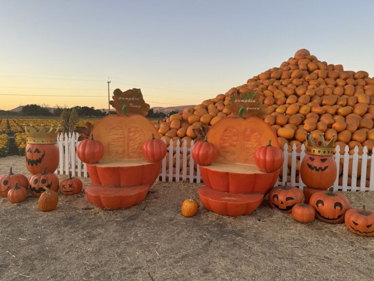 Best Pumpkin Patch Farm Near San Jose: Date Night Edition